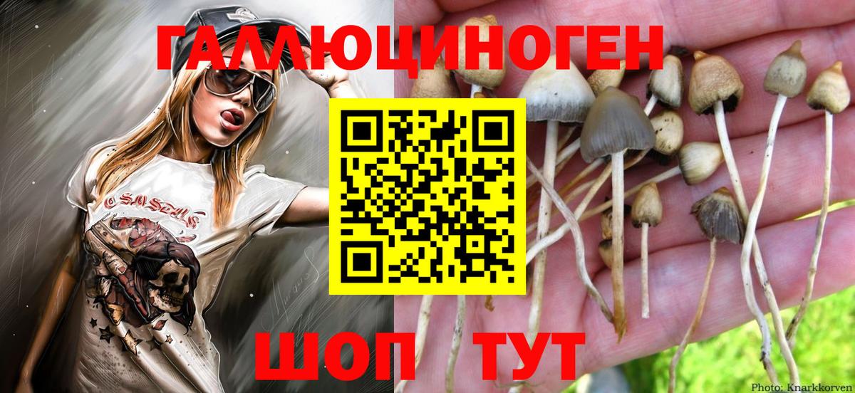 Псилоцибиновые грибы мухоморы Дмитров