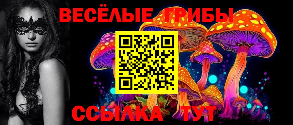 Псилоцибиновые грибы прущие грибы  Вход с VPN  Дмитров  Галлюциногенные грибы ЛСД 